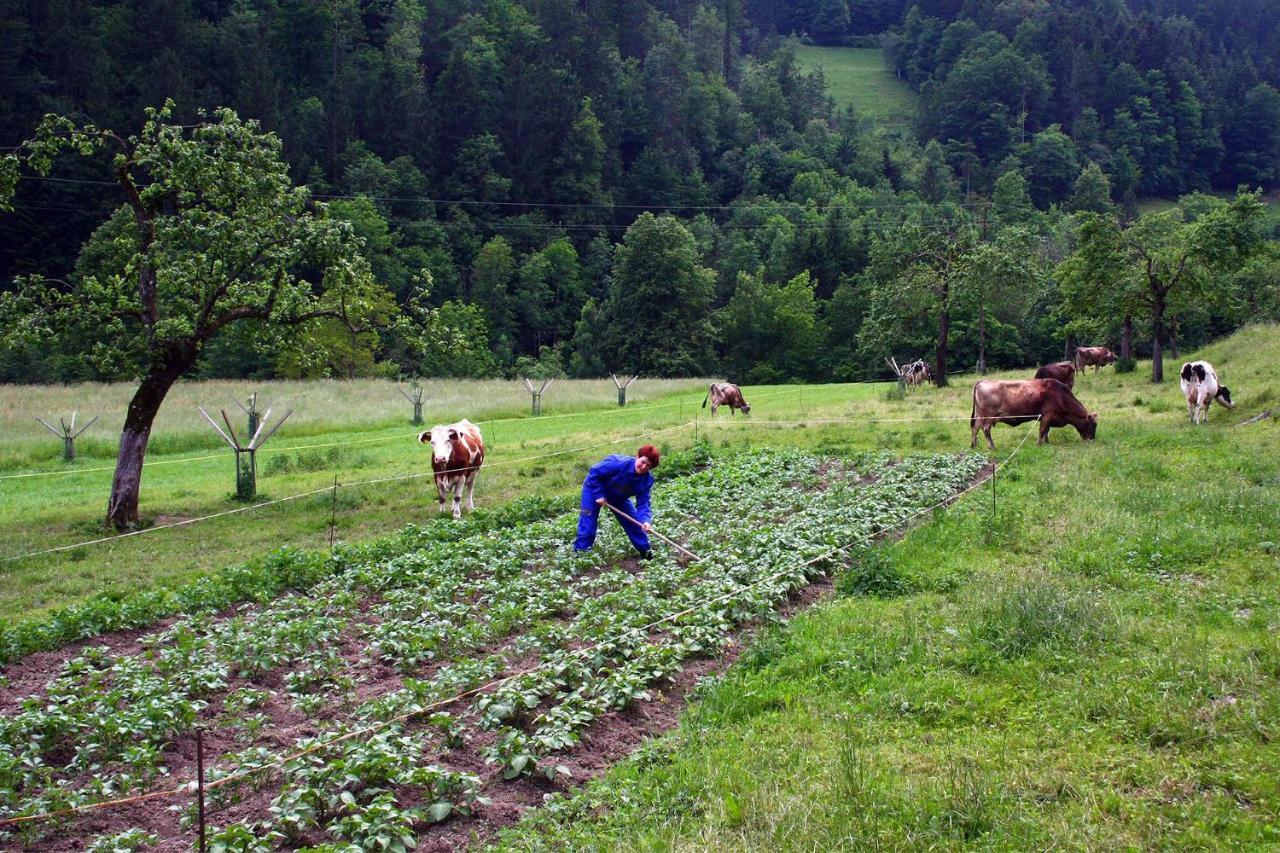Farm Stay Bukovje Ljubno Exterior photo